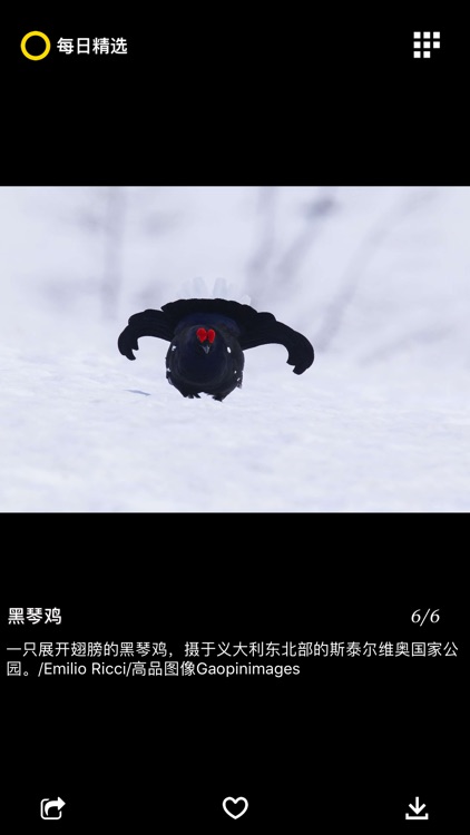 每日精选-天文地理人文美图、壁纸 screenshot-9