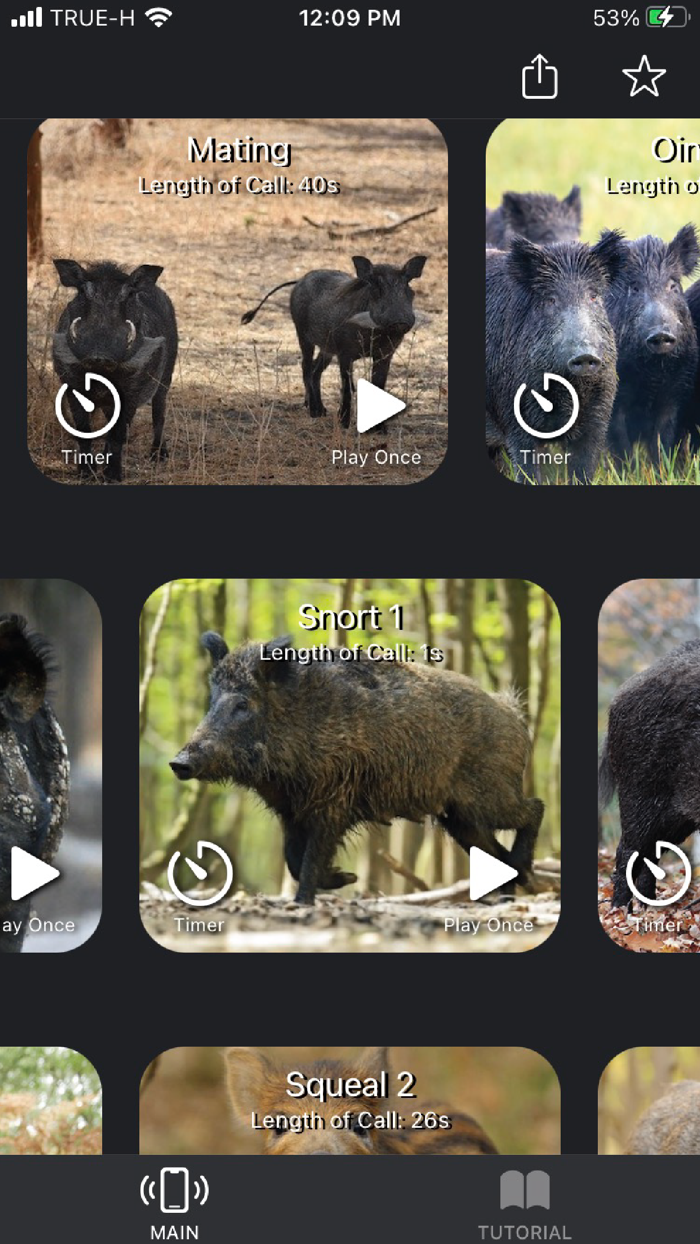 Hog Calls For Hunter