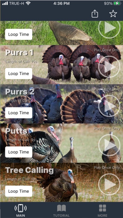 Turkey Calls for Hunting screenshot-4