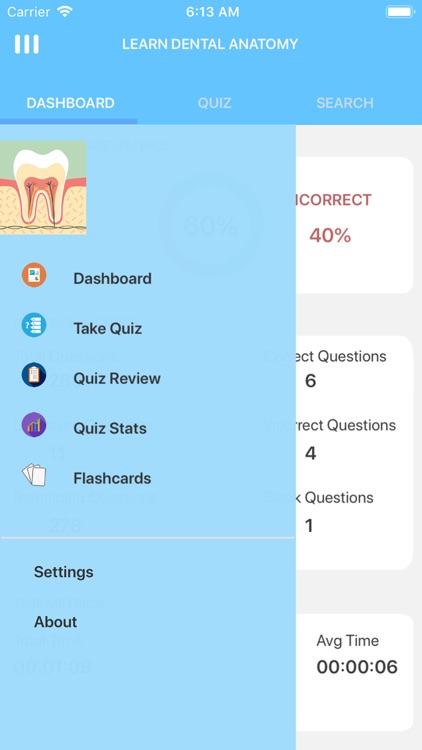 Learn Dental Anatomy