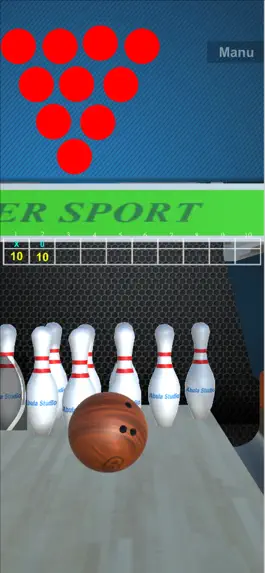 Game screenshot Bowling point of view hack