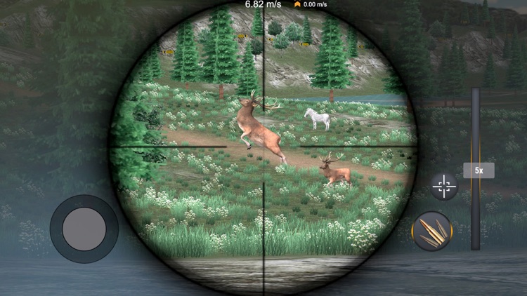 Animal Safari Hunting