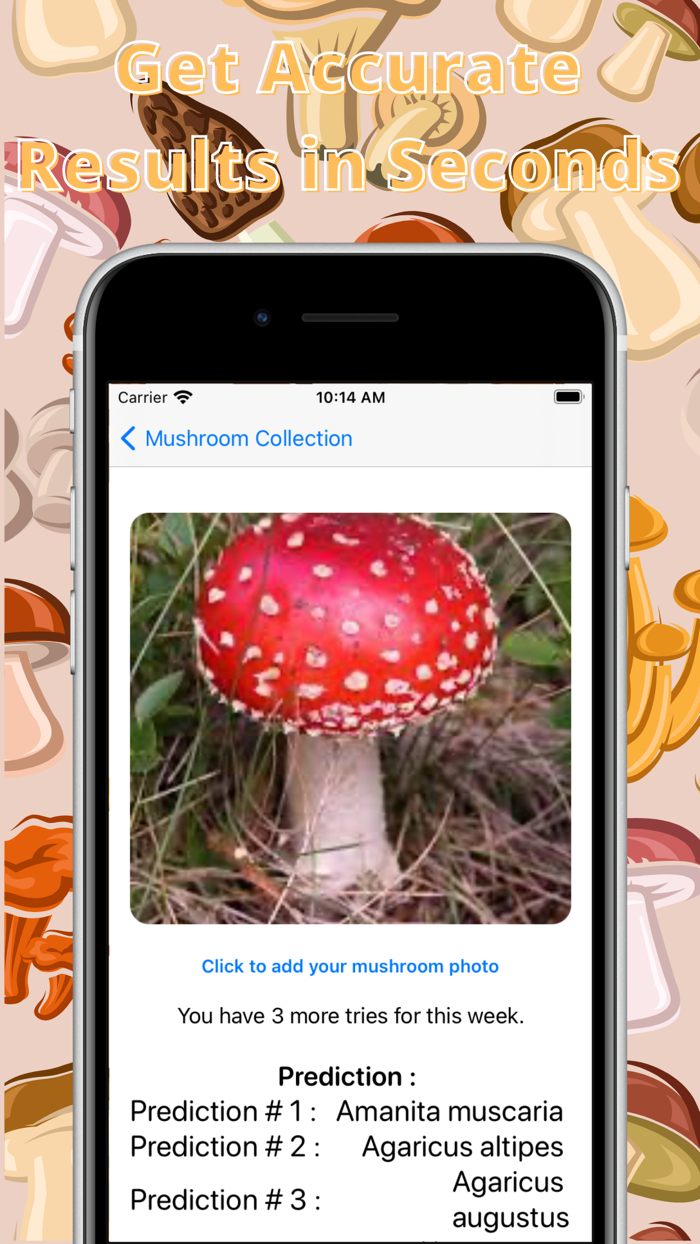 Mushroom identification ‣