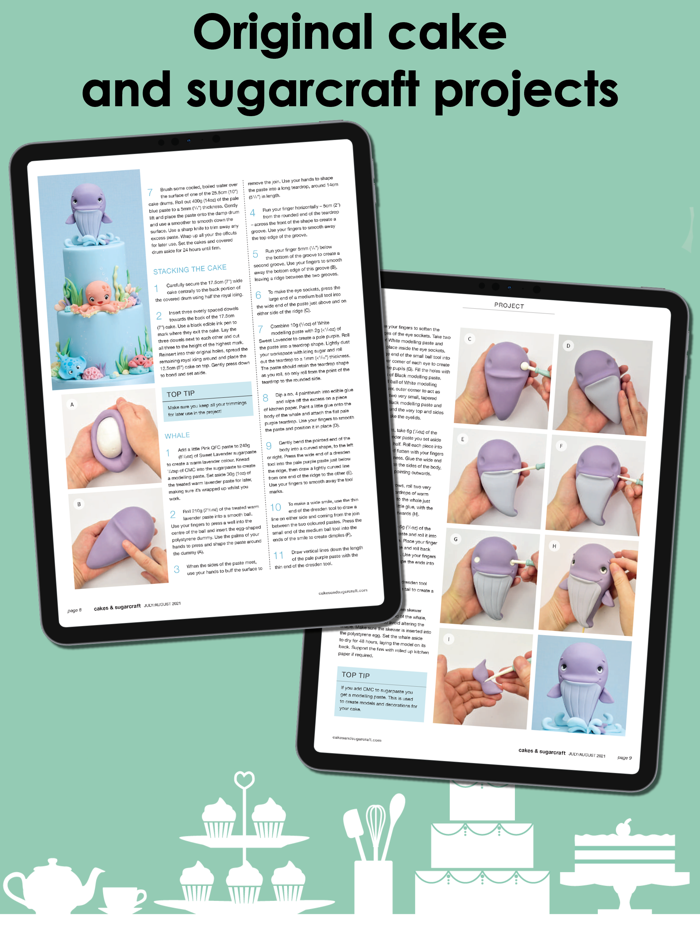 Cakes  Sugarcraft Magazine