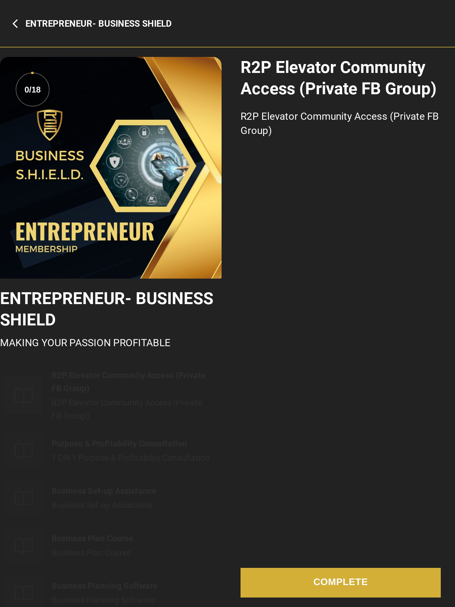 Business S.H.I.E.L.D. screenshot 3