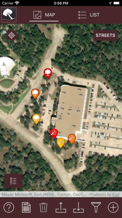 Tree Risk Assessment - Level 1