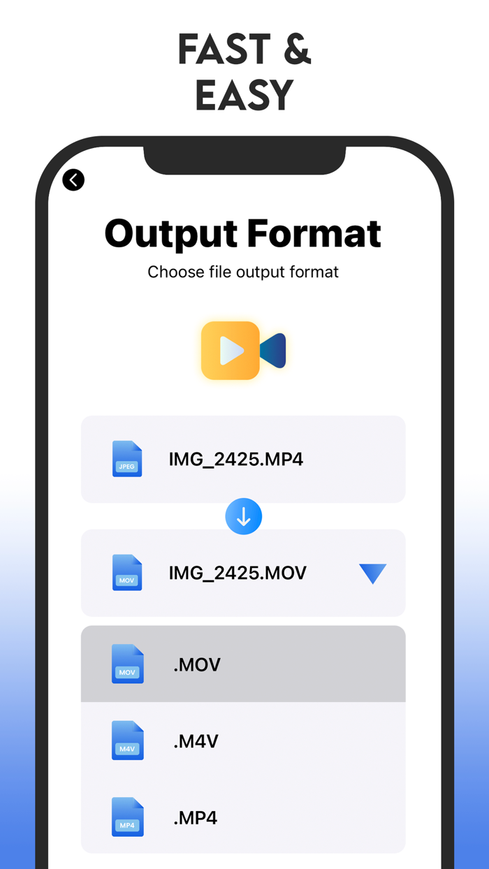 Video Audio Formats Converter