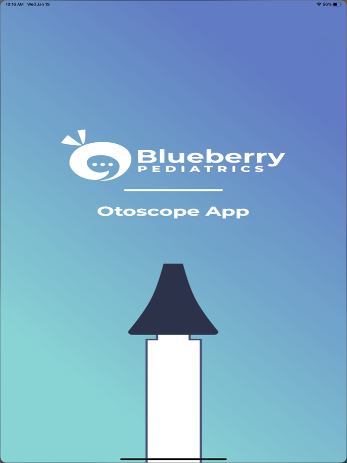 Blueberry Pediatrics Otoscope