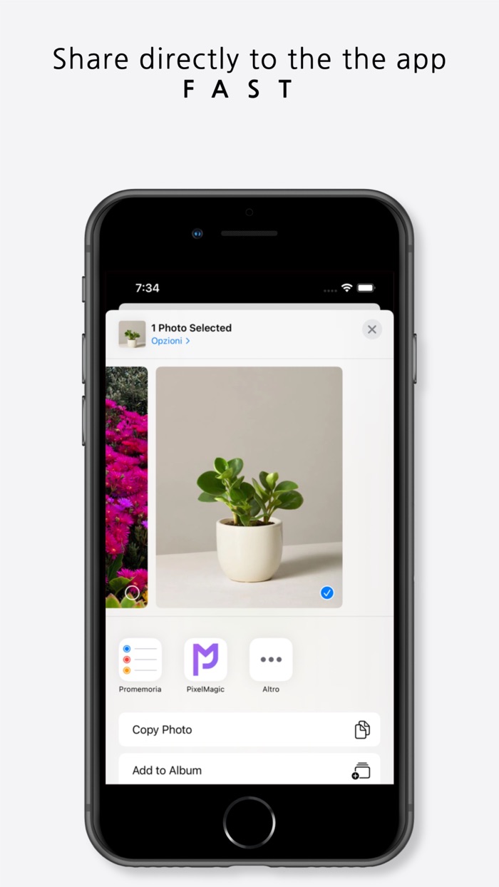 Pixel Magic Background Eraser