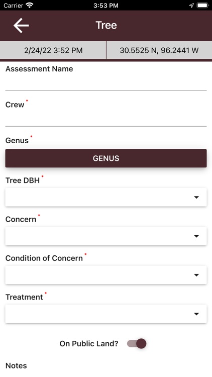 Tree Risk Assessment - Level 1