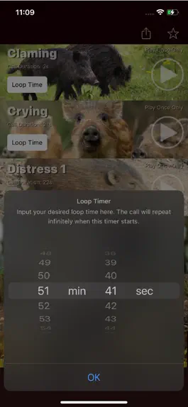 Game screenshot Wild Hog Calls apk