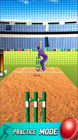 Game screenshot Play Live Cricket Game mod apk