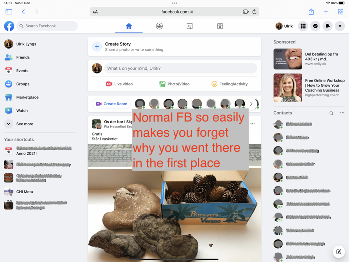 Newsfeed toggle for Facebook