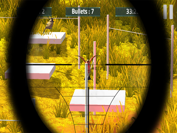 Real Bird Hunting 3D