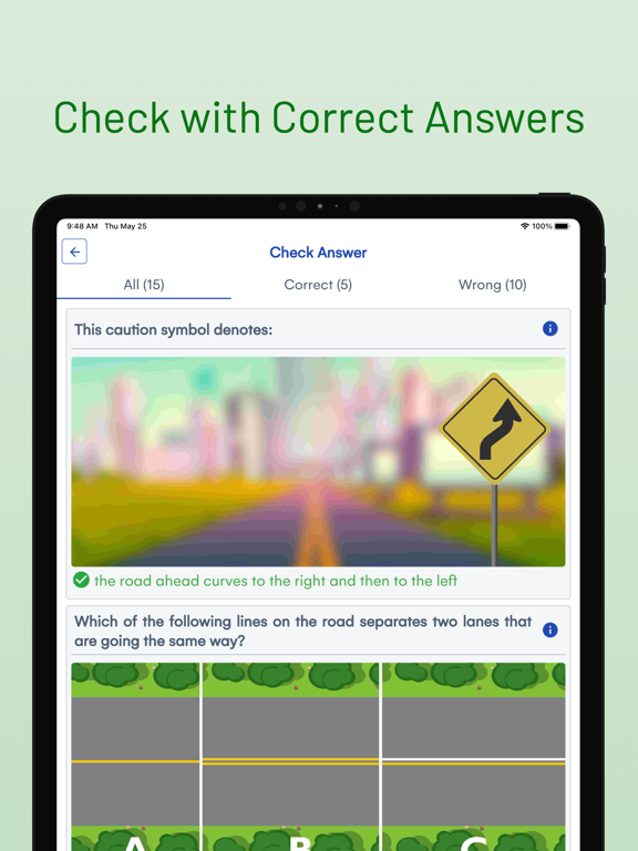 California DMV Driver Test screenshot 14