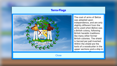 How to cancel & delete Terra-Flags from iphone & ipad 4