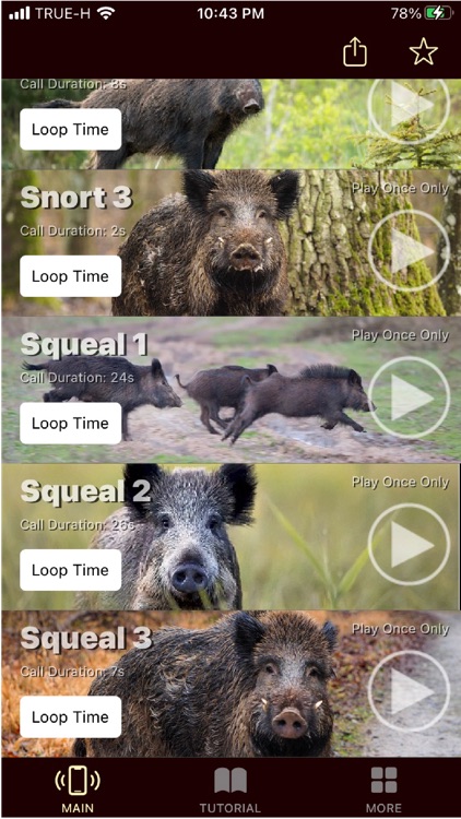 Wild Hog Calls screenshot-7