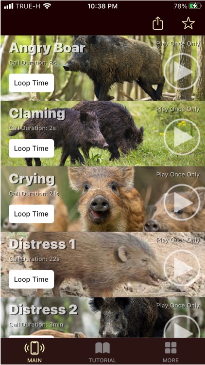 Wild Hog Calls screenshot-3