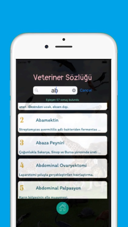 VetKO (Veteriner Kelime Oyunu) screenshot-4