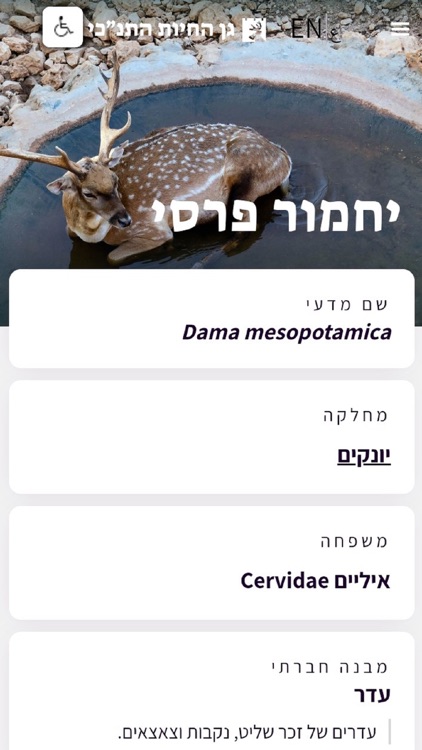 גן החיות התנכי