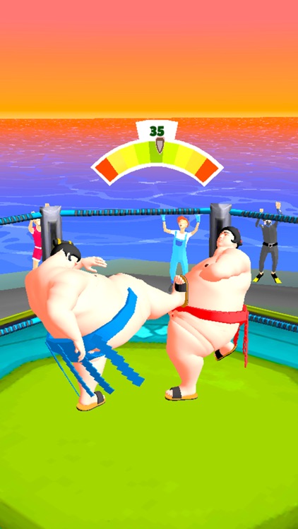 Sumo Fight 3D