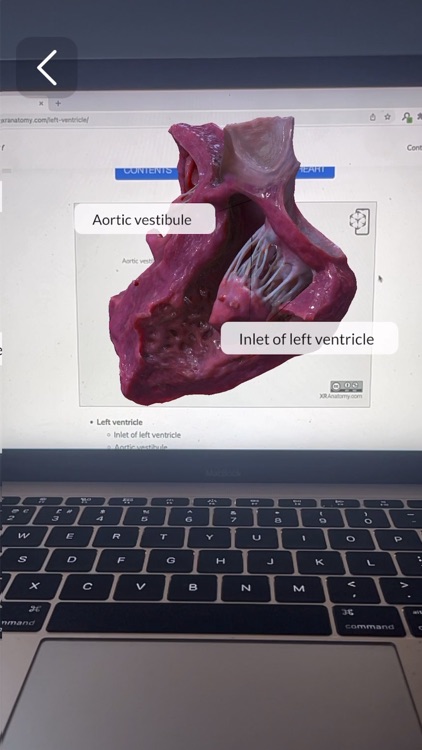 XR Anatomy screenshot-6