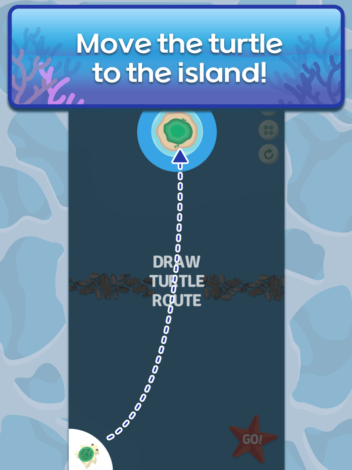 Turtle run
