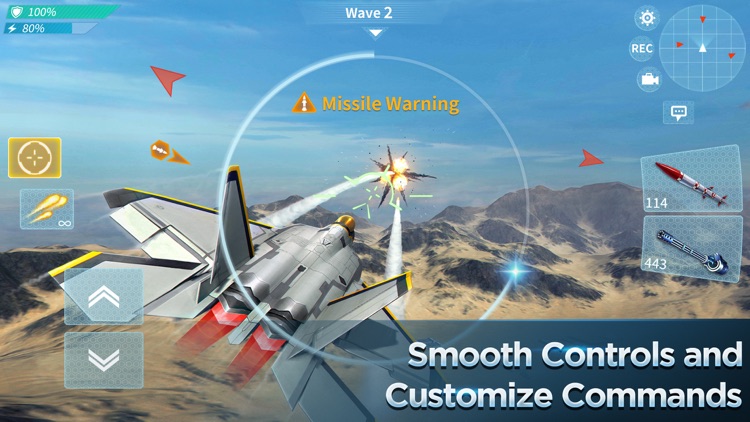 Air Combat OL: Team Match
