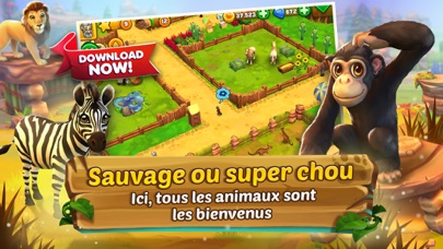 Zoo 2: Animal Park Zoo 2: Animal Park