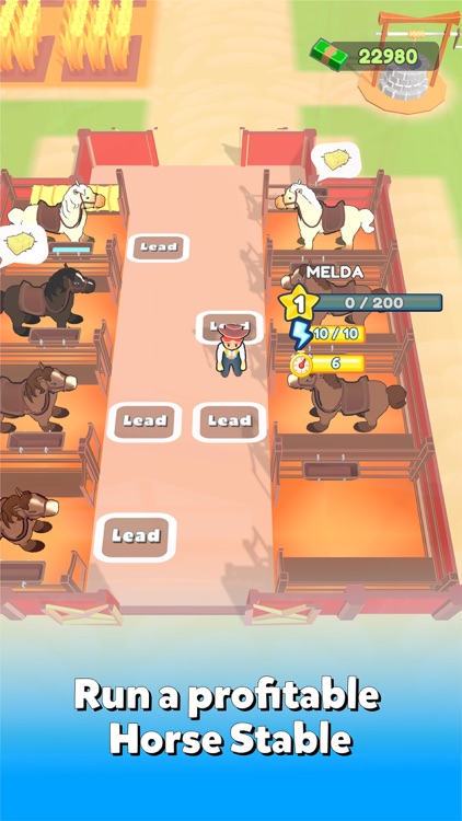 Horse Dreams: Ride & Race!
