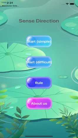 Game screenshot SenseDirection mod apk