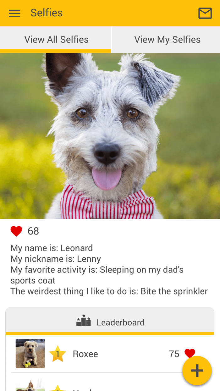 Northbrook Animal Clinic