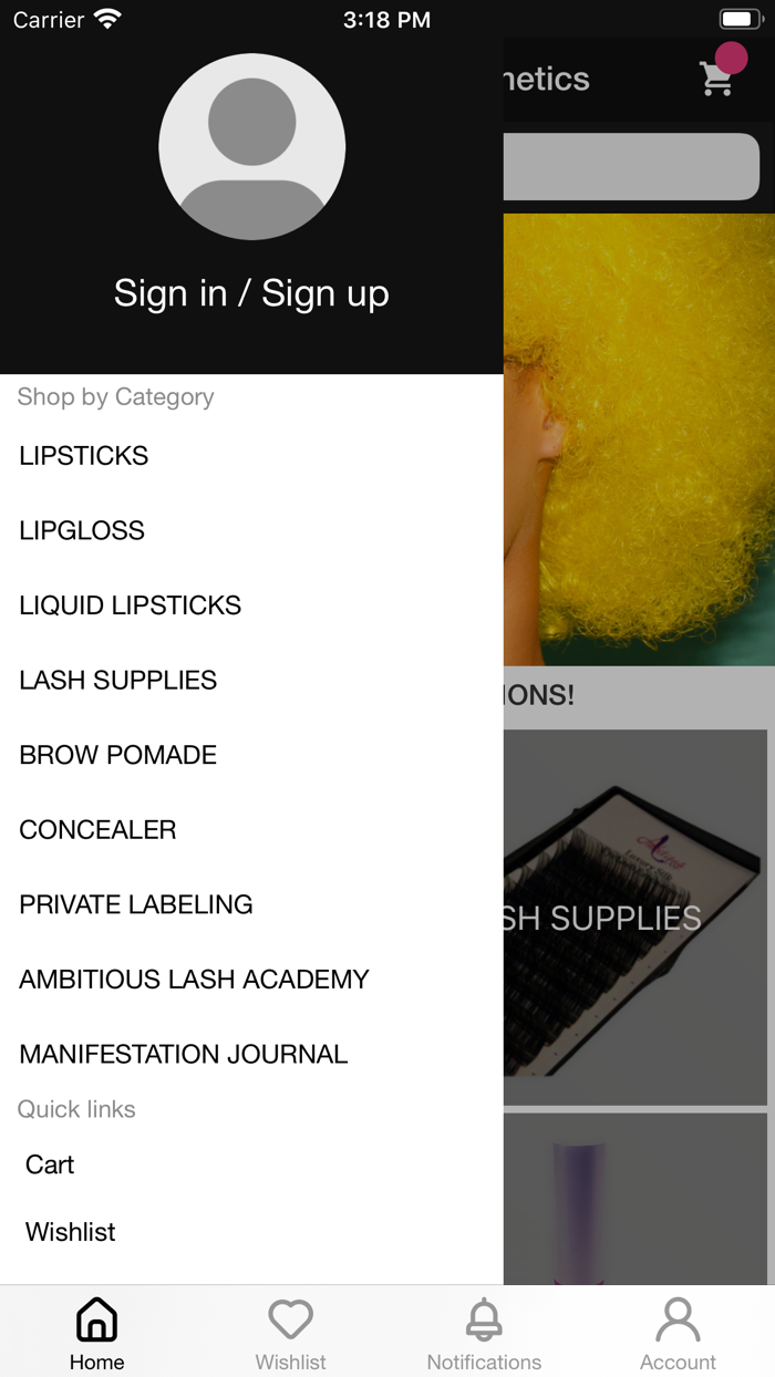 Ambitious Lips Cosmetics