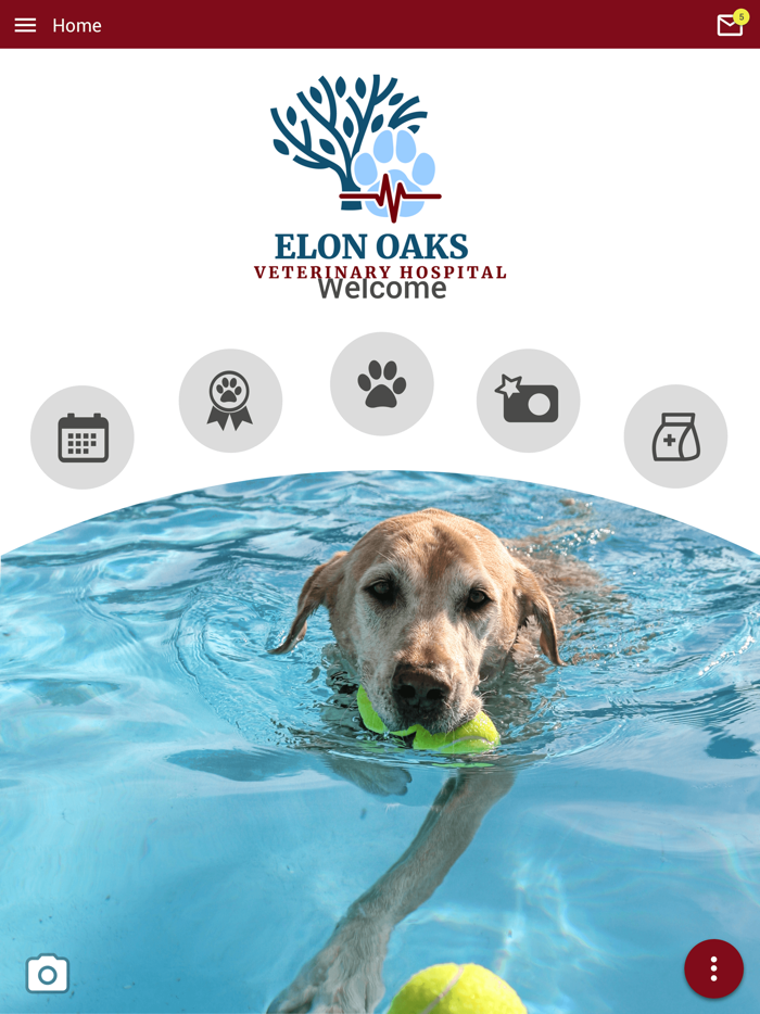Elon Oaks Veterinary Hospital