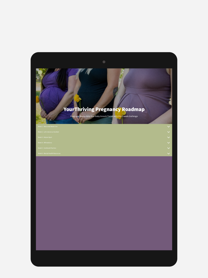 Your Thriving Pregnancy