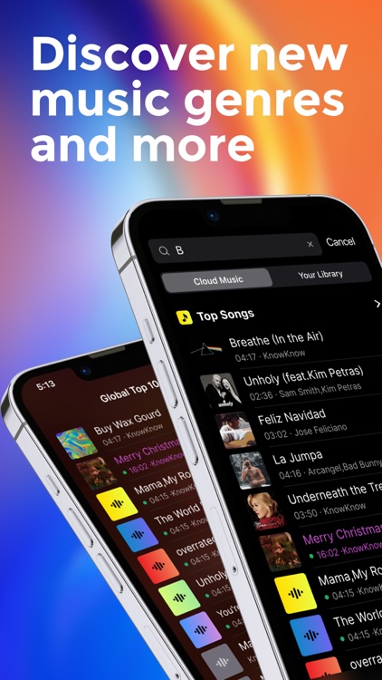 Offline Music Player - Amerigo
