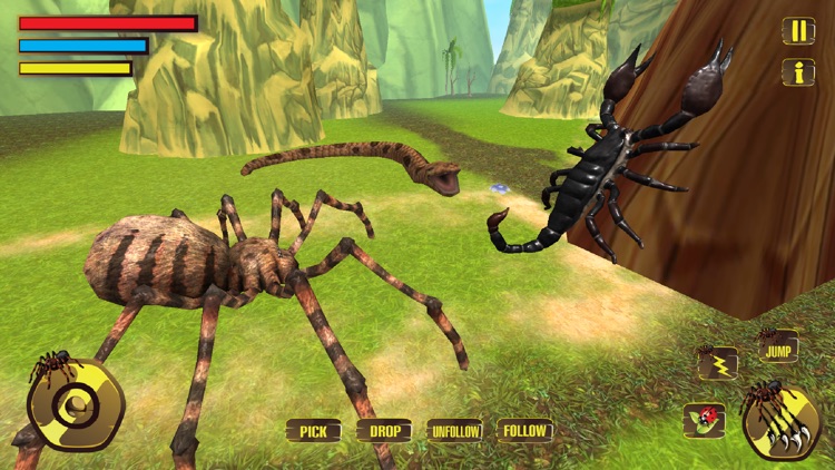 Wild Spider Tarantula Hunter