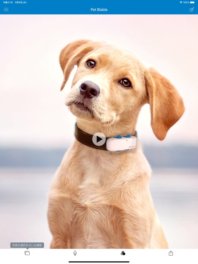 Tractive Pet Blabla をapp Storeで