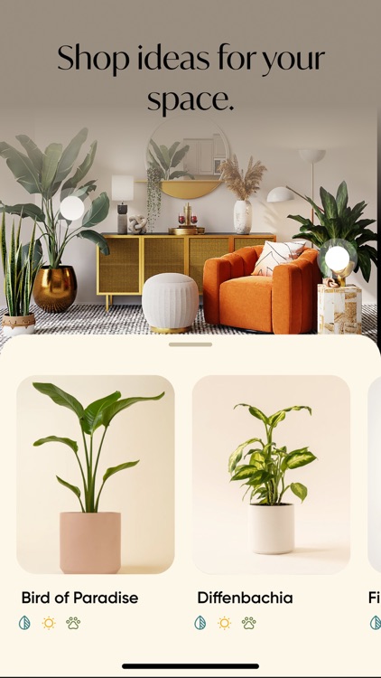 Neverland: Shop plants & more