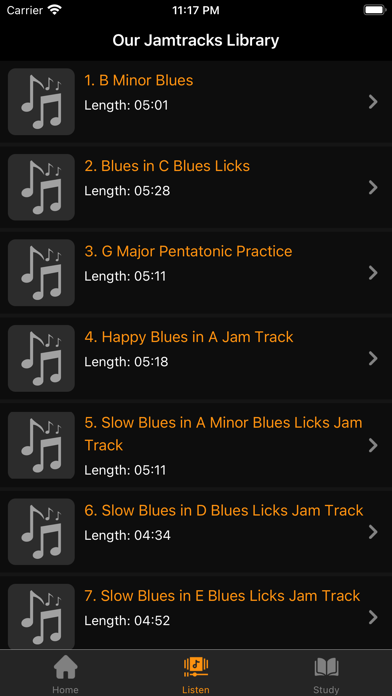 Blues JamTracks Screenshot 3