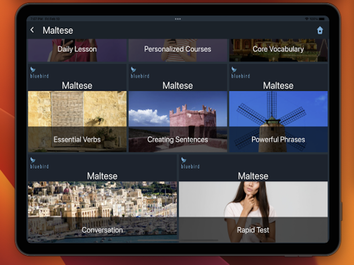 Bluebird Learn Maltese