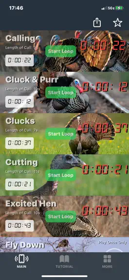 Game screenshot Wild Turkey Calls + mod apk