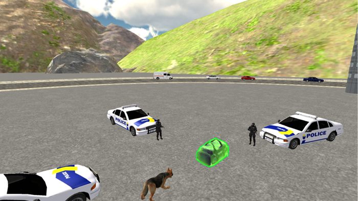 US Police Dog Chase