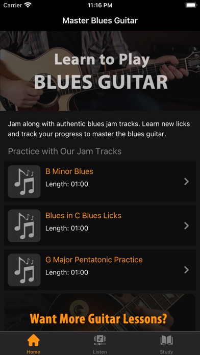 Blues JamTracks Screenshot 1