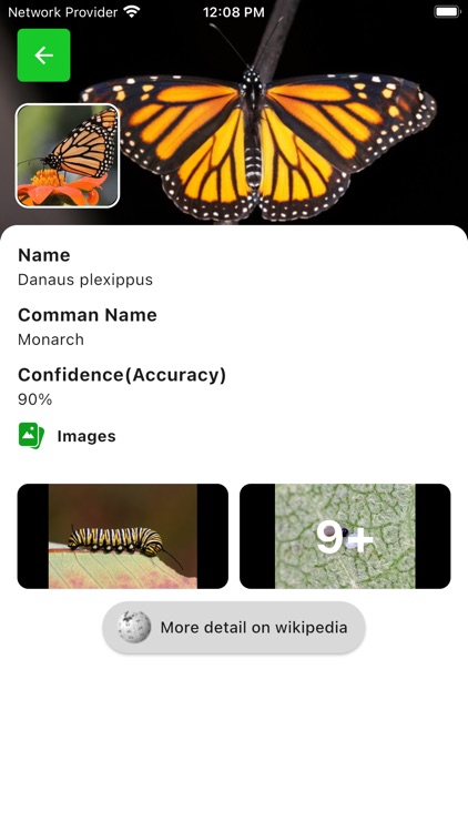 Bug & Insect Identifier