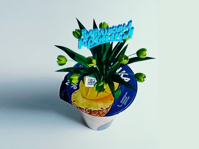 Бабушкина крынка сканер