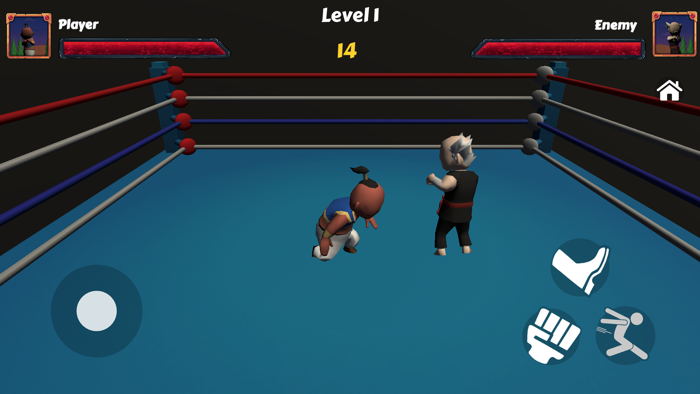 Ragdoll Fighter Simulation