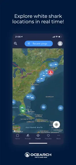 Game screenshot OCEARCH Shark Tracker mod apk