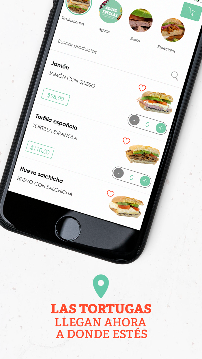 Las Tortugas de Polanco