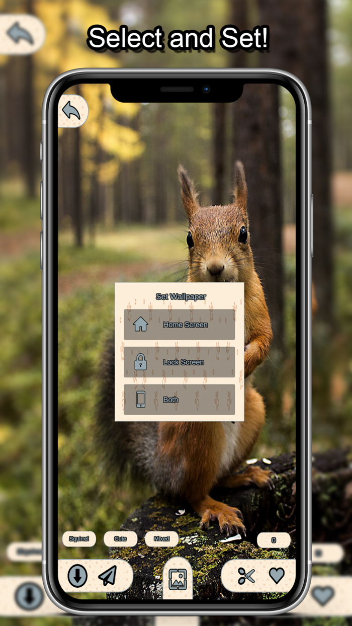 Animal Wallpapers HD 4K